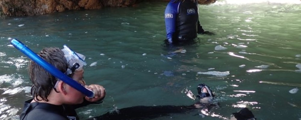Radical Rockpooling